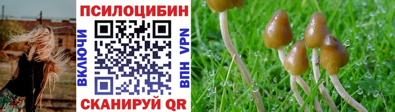 Купить закладки  Унеча  Галлюциногенные грибы ЛСД 