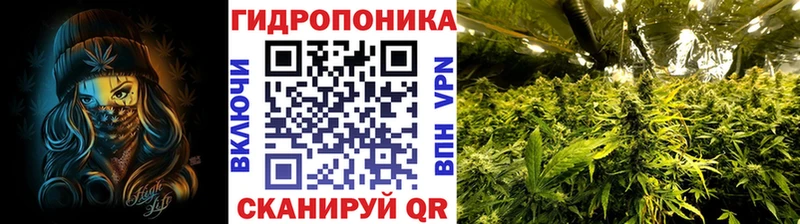 Канабис MAZAR  Купить где  Унеча 